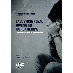 La justicia penal juvenil...
