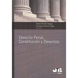 Derecho Penal, Constitución...