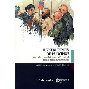 Jurisprudencia de principios