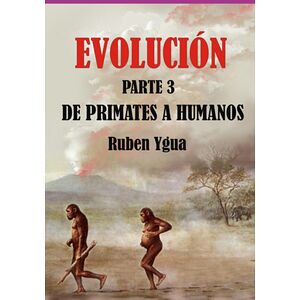 Evolución-  De Primates A...