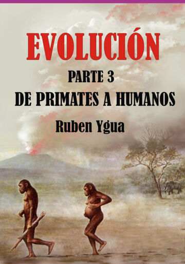 Evolución-  De Primates A...