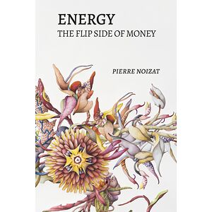 Energy, the flip side of money