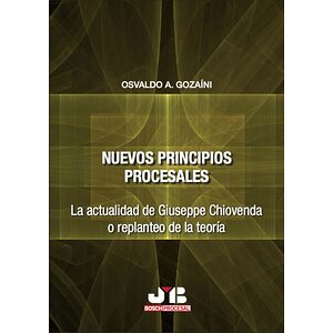 Nuevos principios procesales