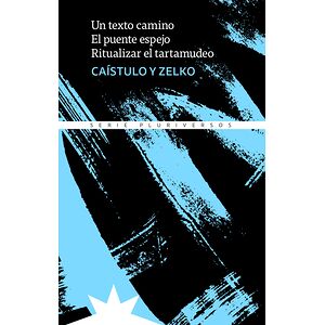 Un texto camino - El puente...