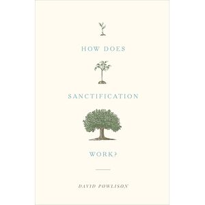 How Does Sanctification Work?