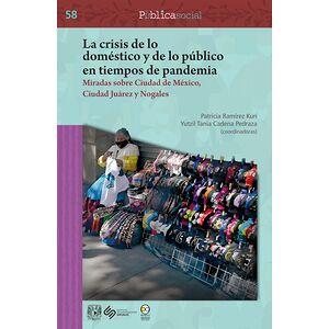 La crisis de lo doméstico y...