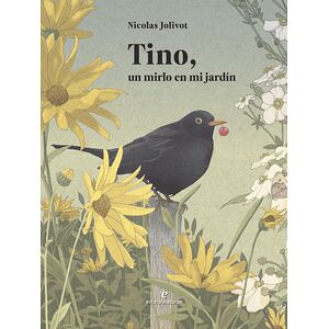 Tino, un mirlo en mi jardín