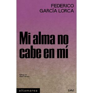 Mi alma no cabe en mí