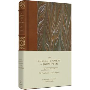 The Holy Spirit-The Comforter
