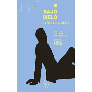 Bajo cielo