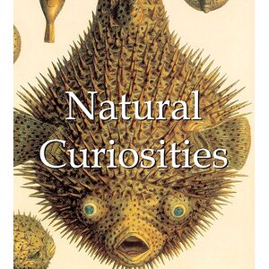 Natural Curiosities