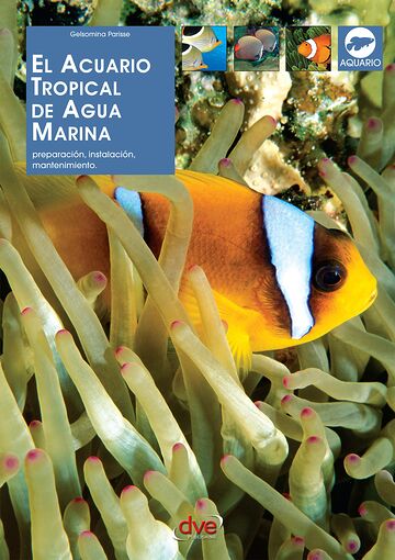 El acuario tropical de agua...