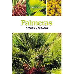 Palmeras - Elección y cuidados