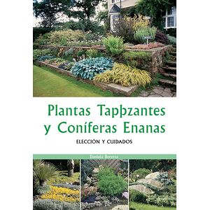 Plantas tapizantes y...