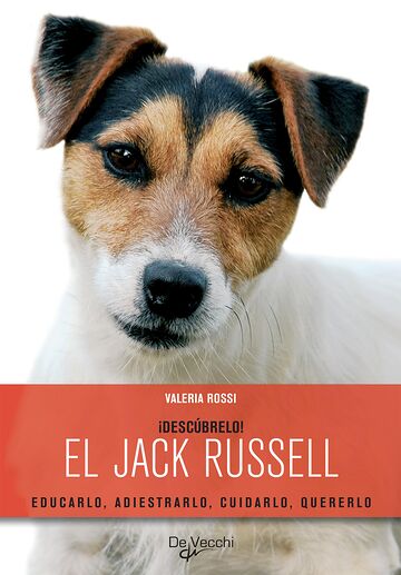 ¡Descúbrelo! El Jack...