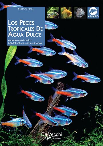 Los peces tropicales de...