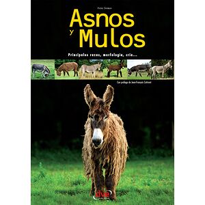 Asnos y mulos