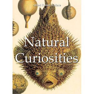 Natural Curiosities