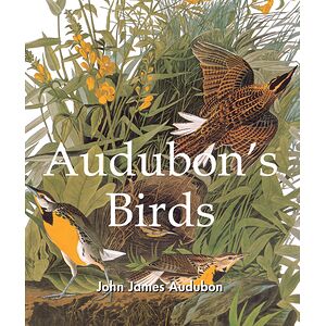 Audubon's Birds