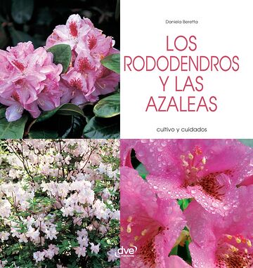 Los rododendros y las...