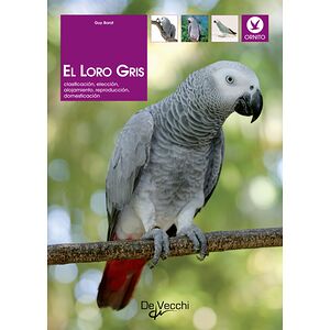 El loro gris