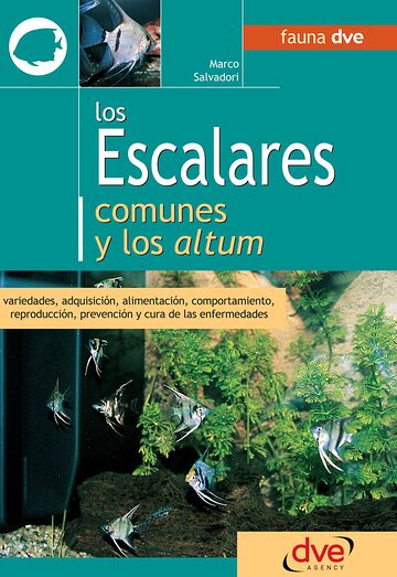 Los escalares comunes y los...