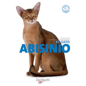 El gato Abisinio