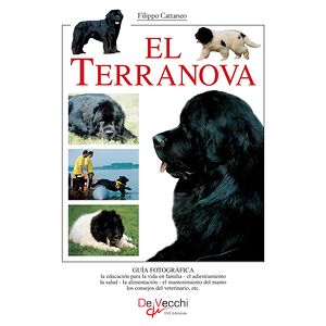 El terranova