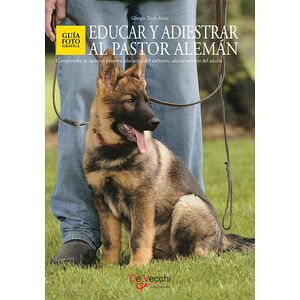 Educar y adiestrar al...