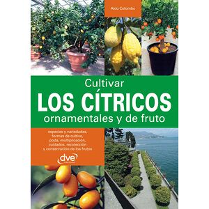 Cultivar los cítricos...