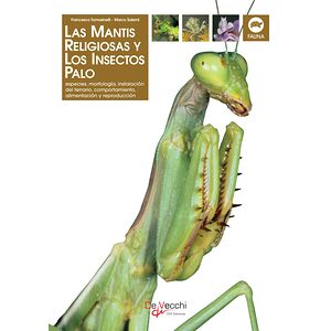La mantis religiosa y los...