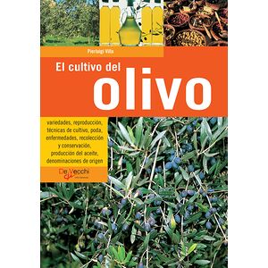 El cultivo del olivo
