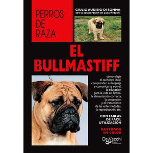 El Bullmastiff