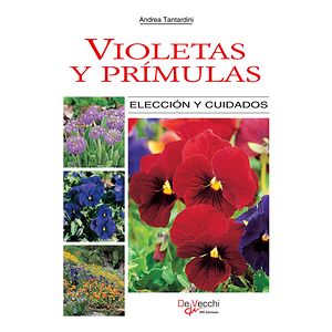 Violetas y prímulas