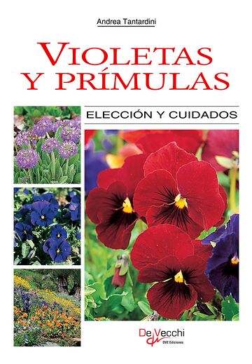 Violetas y prímulas