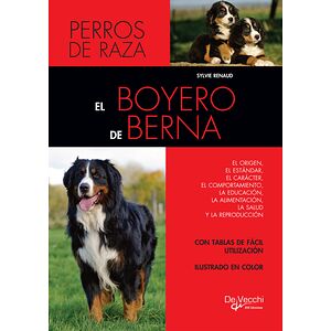 El boyero de Berna