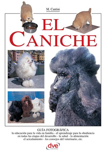 El caniche