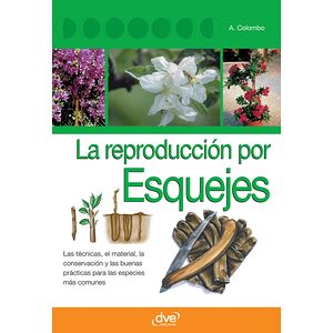 La reproducción por esquejes