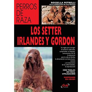 Los setter irlandés y gordon
