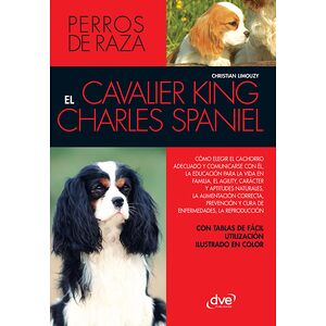 EL cavalier King Charles...