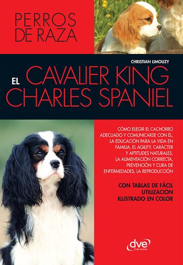 EL cavalier King Charles...