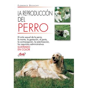 La reproducción del Perro
