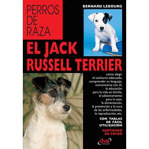 El Jack Russell terrier