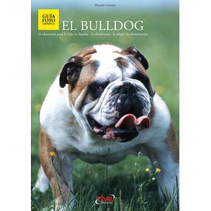 El bulldog