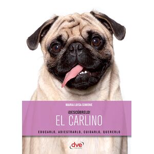 ¡Descúbrelo! El Carlino