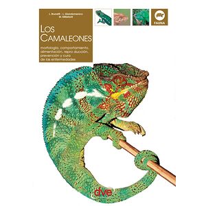 Los camaleones