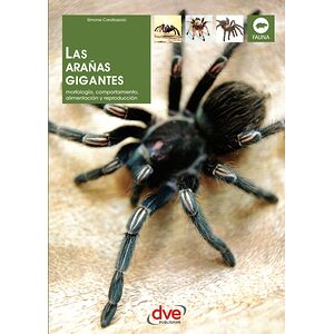 Las arañas gigantes