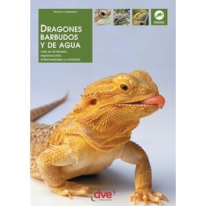 Dragones Barbudos y de Agua