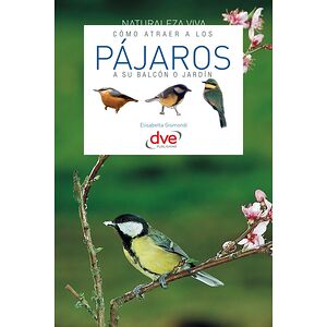 Cómo atraer a los pájaros a...