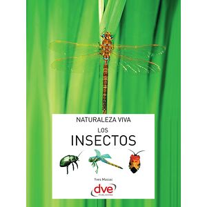 Los insectos